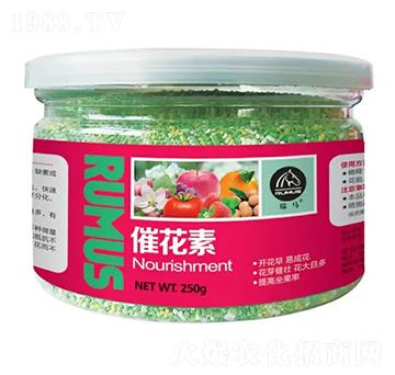 �߻���-�̶�����