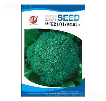 ���m���N��-�{(l��n)��2101-���S�r(n��ng)�I(y��)