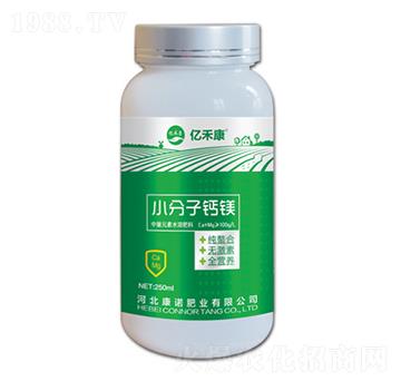 С�����}�V-�|�̿�-���Z�ʘI(y��)