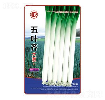 ���[�N��-���~�R���[-���S�r(n��ng)�I(y��)