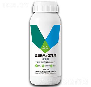 ������-�α��S-껵�����