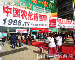 ���յ�ɫ��չ�F(xi��n)���҂��r(n��ng)�����̾W(w��ng)�Ļ���