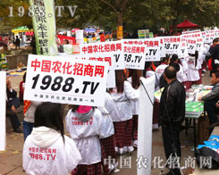 ���P(y��ng)��������]����������