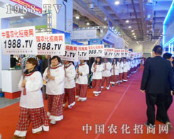 �e�۳ɹ��Ľ�(j��ng)�(y��n)��1988.TV��δ��(l��i)��������