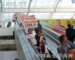 �r(n��ng)���W(w��ng)��(zh��n)ʿ�����p�����|����ƴ��һƬ�x�͵����