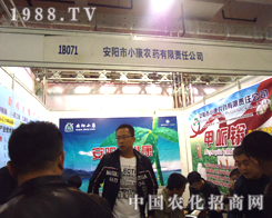 С���r(n��ng)ˎ���Ă��(zh��n)����ֲ��������