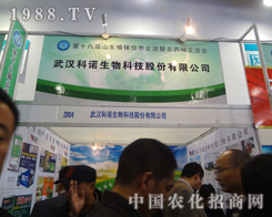 ��h���Z�����(j��)���r(n��ng)ˎ�����̴�����