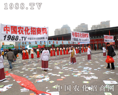 2012��ֲ���p����(hu��)�r(n��ng)���W(w��ng)�������Ƿǳ��Ѵ��