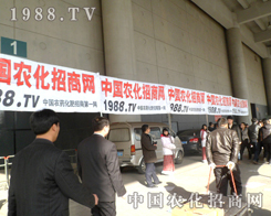 �r(n��ng)�����̾W(w��ng)�F(tu��n)�(du��)���ǻۺ̈́�(chu��ng)��M�ɪ�(d��)�ص��ƏV��ʽ