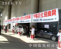 ��28��ֲ��������1988.TV�ٴ��ذ�����