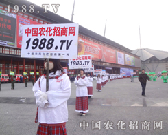 �r(n��ng)���W(w��ng)�ľ���չ���ƏV��ʼ�K�������������ߵ���