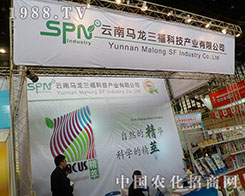 �R�������Ƽ���2012��ֲ�����ו���������