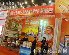 �P�S����Ч���� ������