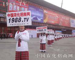 ��28��ֲ�����r(n��ng)���W(w��ng)�������񡢚�ݻֺ�