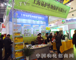 �Ϻ����o���ﱣ�o��˾��������28��ֲ�����ו�