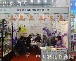 ���Z���ں���ʡֲ���p������������