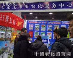 ʯ���f�S�ﻯ����˾�ӱ�ֲ����(hu��)һ�ɷ�æ����