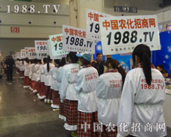 ���ݷ����p���������[һ�ξ��ʵ�ƪ��