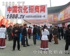 С���(y��ng)һ����(ch��ng)�ͳɞ��貊ZĿ���P(gu��n)ע�c(di��n)��