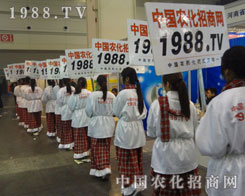 �����Č������ڎ��r(n��ng)�����̾W(w��ng)���õ�����