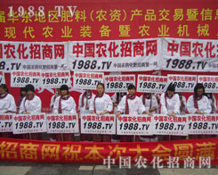 �r(n��ng)�����̾W(w��ng)���˵ĉ������`�����������ˑB(t��i)��