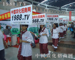 �^���Y�G�������r(n��ng)�Y��(hu��)�ϵ��r(n��ng)���W(w��ng)��(zh��n)ʿ