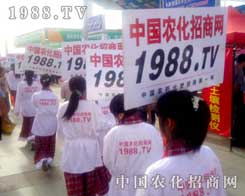 �r(n��ng)�����̾W(w��ng)��һ֧���ɑ�(zh��n)�ٵĈF�