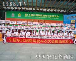 ��(ji��n)���l(f��)չ���������r(n��ng)���W(w��ng)������V韵�����