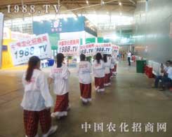 ȫ���Ը�����ƴ�ܸɵ��r(n��ng)�����̾W(w��ng)��(zh��n)ʿ