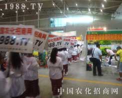 �½��r(n��ng)�����ψ���ʮ����Ǣ��