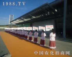 ���R��һ���r(n��ng)���W(w��ng)�(du��)��