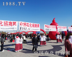 �r(n��ng)���W(w��ng)�ü����c(di��n)ȼ2013��?y��ng)|����ʡ�����p����(hu��)