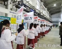 2013���ַ��ϕ��ϣ��r(n��ng)���W(w��ng)�����