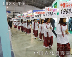 չ�����ʲ��������c���Ӳ�Ͼ