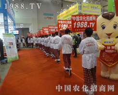 2013��19��ɽ�|ֲ�������������҂��y������Ӱ