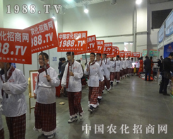 2013����ֲ������ɽ�|�����҂��ց���