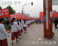 ɽ�|��(j��)��ֲ�������зN����