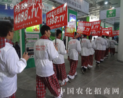 ���19�Ý�(j��)��ֲ�������Ȳ�