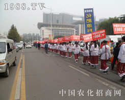 2013ɽ�|ֲ�������҂�������