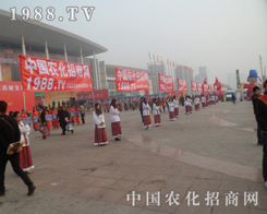 ��19��ɽ�|ֲ�����ϵġ�С��ꖡ�