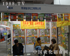 �ʝ����չ�˾����2013�����ֲ����