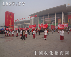 2013��(j��)��ֲ���p����(hu��)�r(n��ng)����(zh��n)ʿ��η�D��