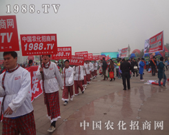 �r(n��ng)�����È�(zh��)������2013ɽ�|ֲ����(hu��)