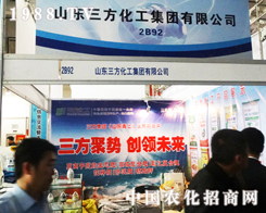 ��19�Ý�(j��)��ֲ�����ו�(hu��)�ϵ���������