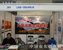 ��һ���ڵ�19��ɽ�|ֲ����(hu��)�ϊ^��