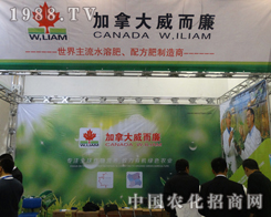 2013����ֲ���p�������ô���������â����