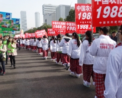 �r(n��ng)�����̾W(w��ng)�����(du��)����(sh��)�ꂥ