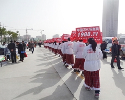 �r(n��ng)���W(w��ng)ϯ��2013��ֲ��չ