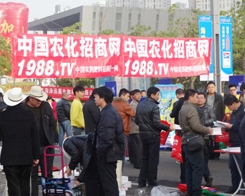 2013ֲ����(hu��)�ϣ��r(n��ng)������Ч����(qi��ng)