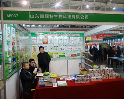 �P������2013�Ͼ�ֲ���p������������